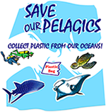 collect plastic from our oceans