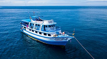 Dolphin Queen in Myanmar