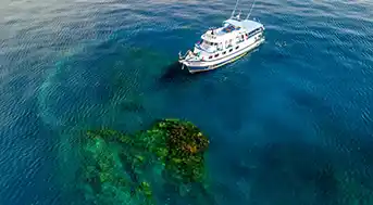 Richelieu Rock from above