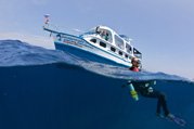 diver with boat