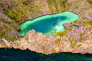 shark lagoon